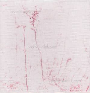  Regina Anzenberger Gstettn