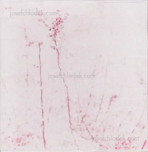 Cover of Regina Anzenberger - Gstettn