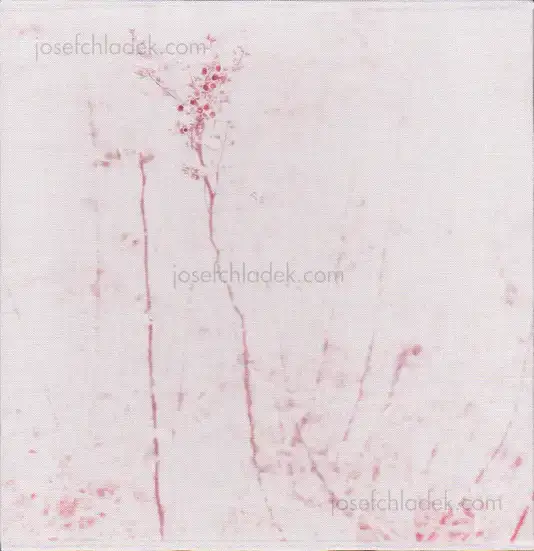 Cover of Regina Anzenberger - Gstettn
