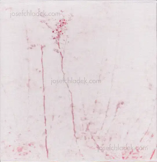 Cover of Regina Anzenberger - Gstettn