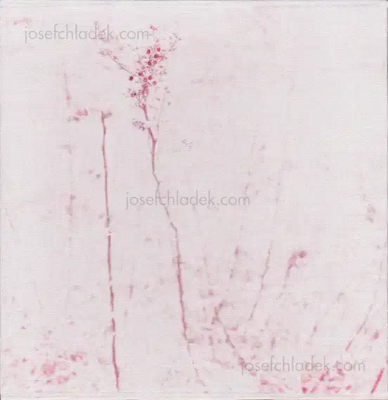 Cover of Regina Anzenberger - Gstettn