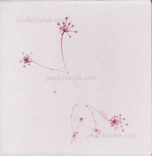  Regina Anzenberger Gstettn