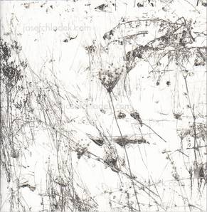  Regina Anzenberger Gstettn