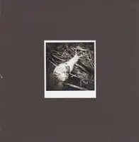 Regina Anzenberger - Gstettn - Book photo 20