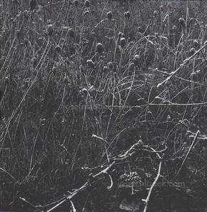  Regina Anzenberger Gstettn