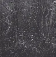 Regina Anzenberger - Gstettn - Book photo 24