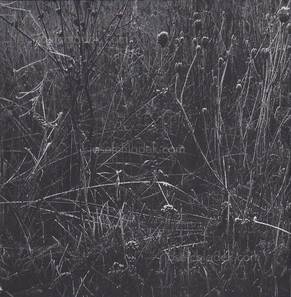  Regina Anzenberger Gstettn