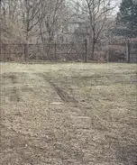 Rick Schatzberg - The Boys