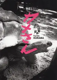 Kurama - Kame san カメさん - Turtle 