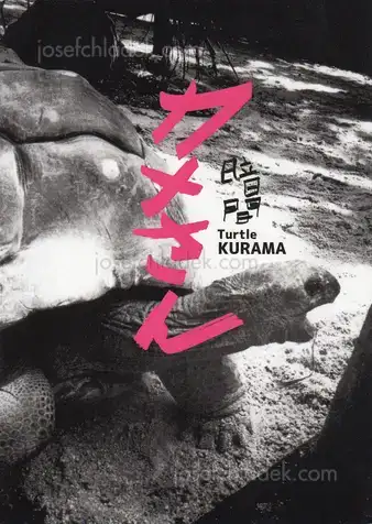 Cover of Kurama - Kame san カメさん - Turtle 