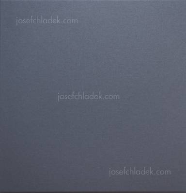  William Eggleston Chromes