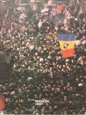 Stefan Mitroi Cronica insingerata a Bucurestiului in revo...