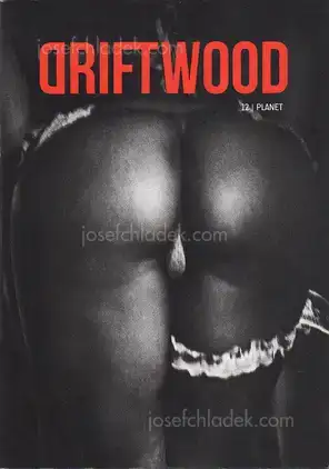 Cover of Christian Reister - Driftwood No.12 | Planet
