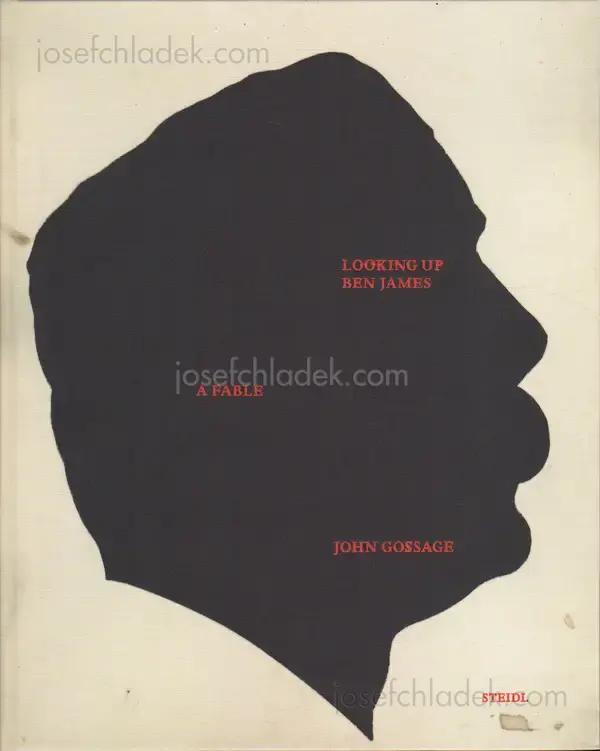 Cover of John Gossage - Looking up Ben James - A Fable