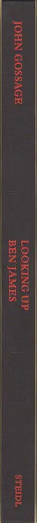 Book spine: John Gossage - Looking up Ben James - A Fable