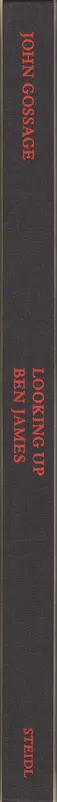 Book spine: John Gossage - Looking up Ben James - A Fable