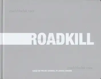 Anders Ängsvik - Roadkill