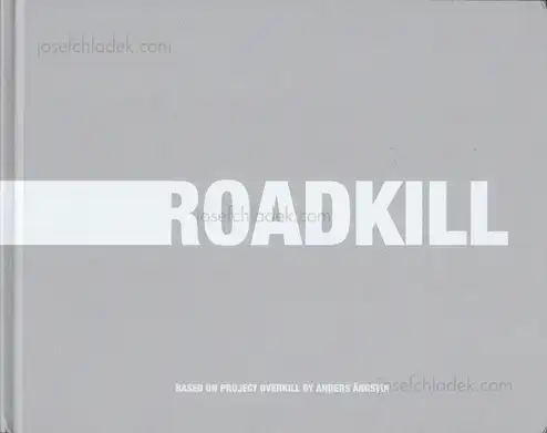Cover of Anders Ängsvik - Roadkill