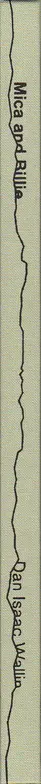 Book spine: Dan Isaac Wallin - Mica and Billie