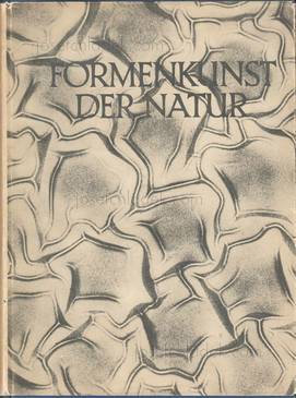 Oskar Prochnow Formenkunst der Natur
