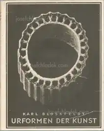 Karl Blossfeldt - Urformen der Kunst