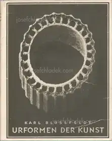 Karl Blossfeldt - Urformen der Kunst