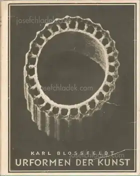 Cover of Karl Blossfeldt - Urformen der Kunst