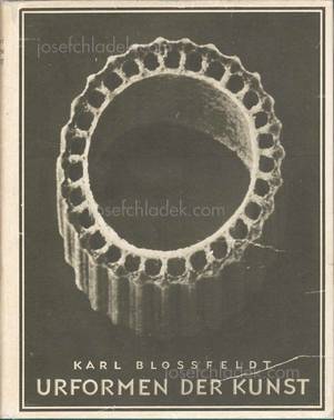  Karl Blossfeldt Urformen der Kunst