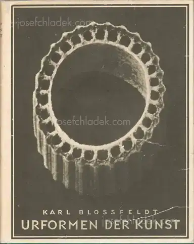 Karl Blossfeldt - Urformen der Kunst Karl Blossfeldt - Urformen der Kunst