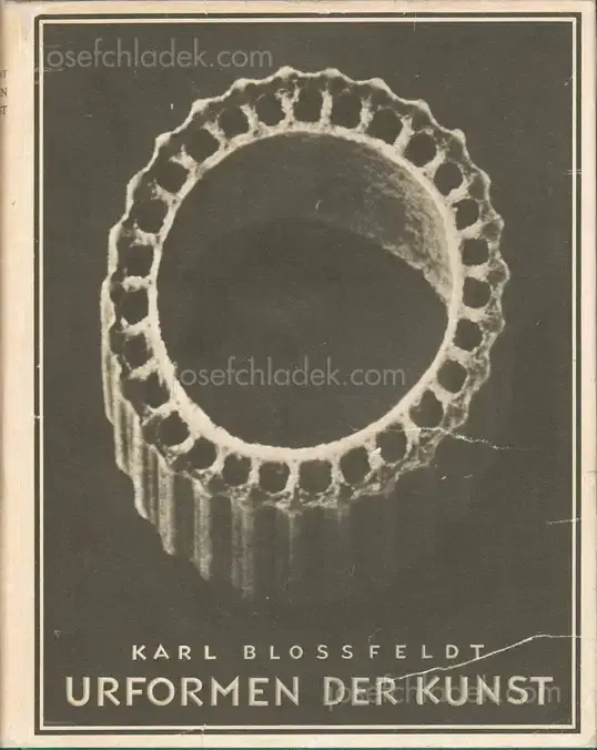 Cover of Karl Blossfeldt - Urformen der Kunst