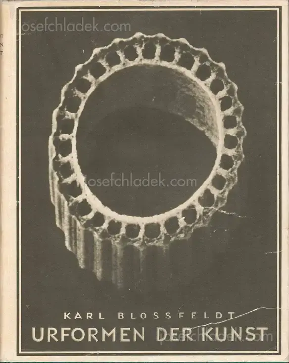 Cover of Karl Blossfeldt - Urformen der Kunst