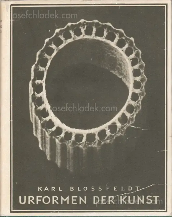 Cover of Karl Blossfeldt - Urformen der Kunst