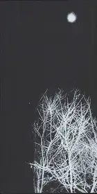 Hajime Kimura - Snowflakes Dog Man (ceiba edition)