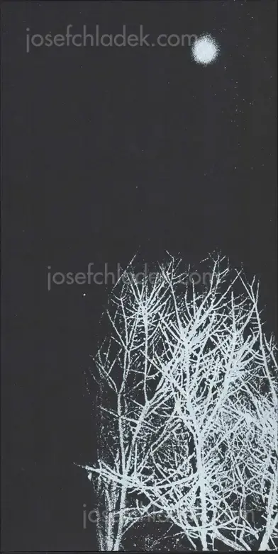 Cover of Hajime Kimura - Snowflakes Dog Man (ceiba edition)
