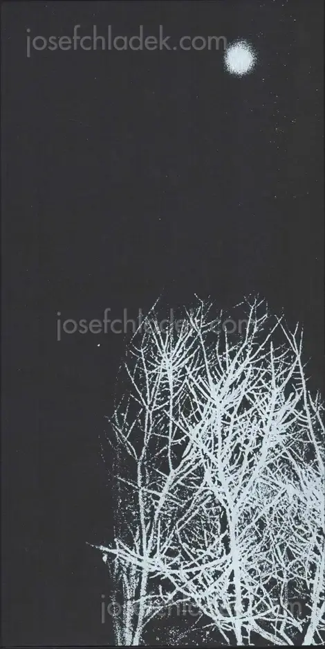 Cover of Hajime Kimura - Snowflakes Dog Man (ceiba edition)