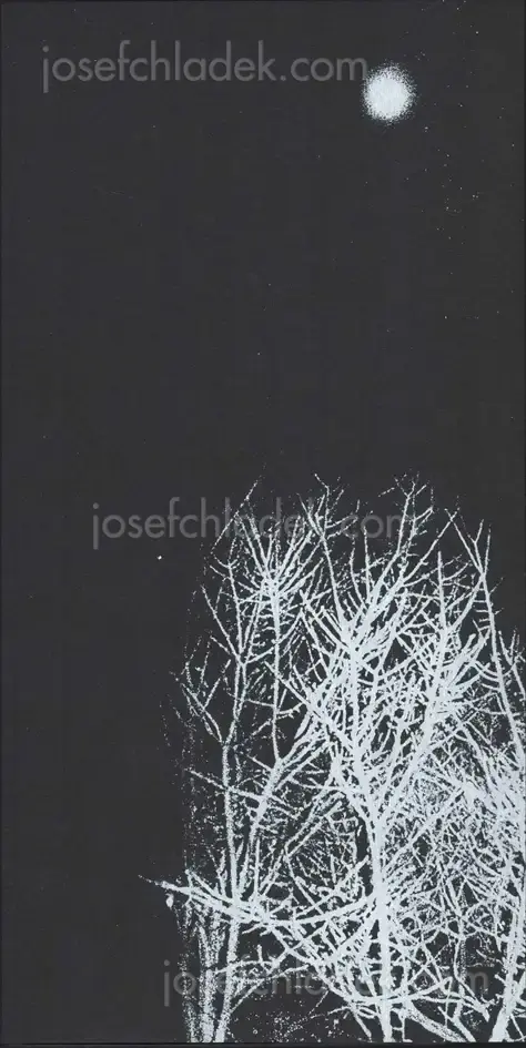 Cover of Hajime Kimura - Snowflakes Dog Man (ceiba edition)