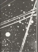 Hajime Kimura - Snowflakes Dog Man (ceiba edition) - Book photo 1