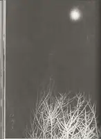 Hajime Kimura - Snowflakes Dog Man (ceiba edition) - Book photo 2