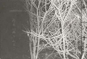 Hajime Kimura - Snowflakes Dog Man (ceiba edition) - Book photo 8