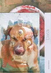 Cover of Stefano Reboli - Jhochhen Tole/Daśãi