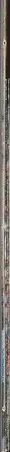 Book spine: Stefano Reboli - Jhochhen Tole/Daśãi