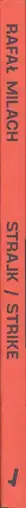 Book spine: Rafal Milach - Strike