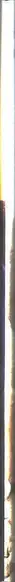 Book spine: Lycien-David Cséry - A-Z West Work Trade Residency