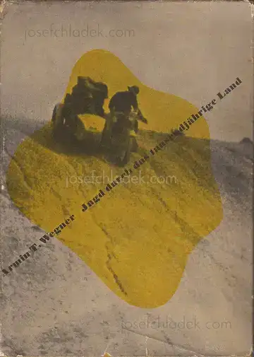 Cover of Armin T. Wegner - Jagd durch das tausendjährige Land