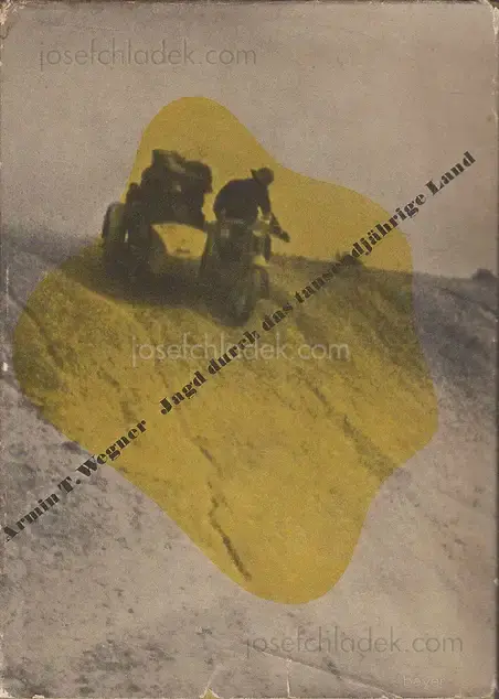 Cover of Armin T. Wegner - Jagd durch das tausendjährige Land