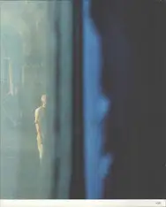 Damian Heinisch - 45