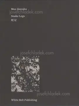 Cover of Max Zerrahn - Snake Legs