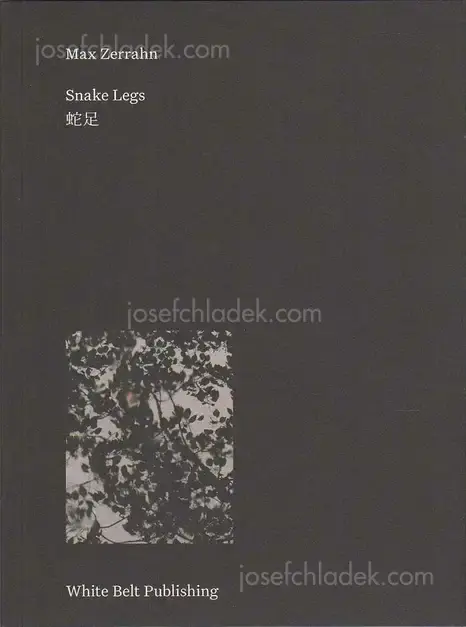 Cover of Max Zerrahn - Snake Legs