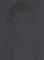 Miro Kuzmanovic - Signs by the Roadside - Book photo 4