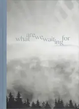 Gerhard Maurer - What are we waiting for